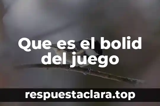Que es el bolid del juego