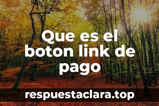 Que es el nacionalismo en el arte 5 Que es el boton link de pago
