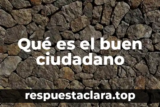 Que es ser un ciudadano informado 8 Qué es el buen ciudadano