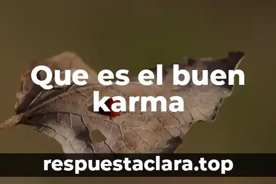 Que es el buen karma
