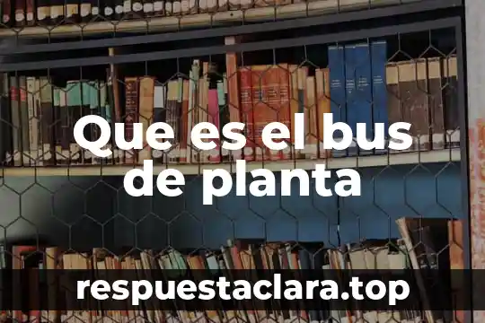 Que es la planta medicinal cola de caballo 5 Que es el bus de planta