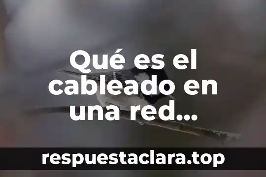 Qué es el cableado en una red informática