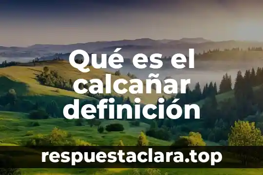 Qué es el calcañar definición