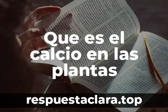 Que es el calcio en las plantas