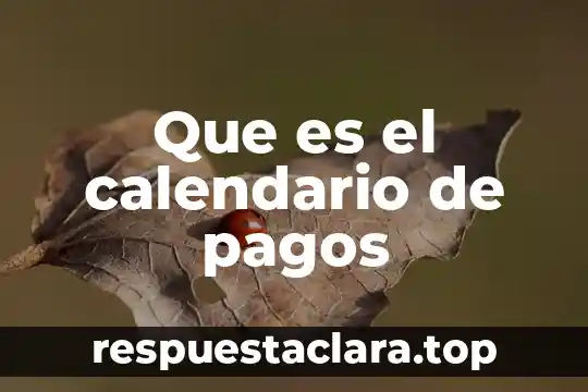 Que es el calendario de pagos