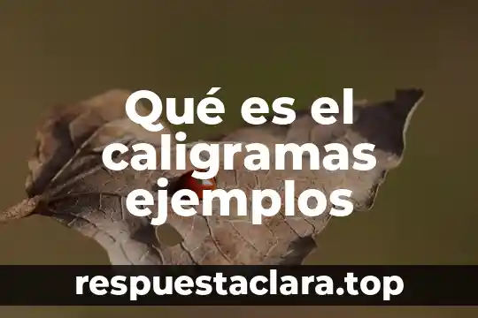 Que es un sobrenombre ejemplos 3 Qué es el caligramas ejemplos