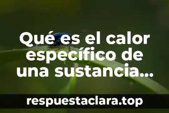 Qué es el calor específico de una sustancia de masa