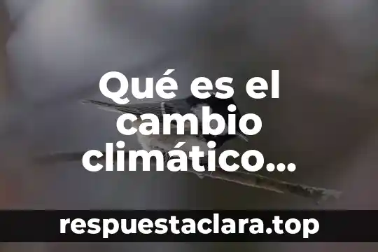 Qué es el cambio climático greenpeace