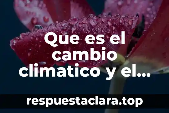 Qué es el cambio climático global resumen 3 Que es el cambio climatico y el calentamiento global articulos