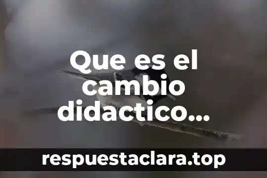 Que es el cambio didactico mundial en la obesidad