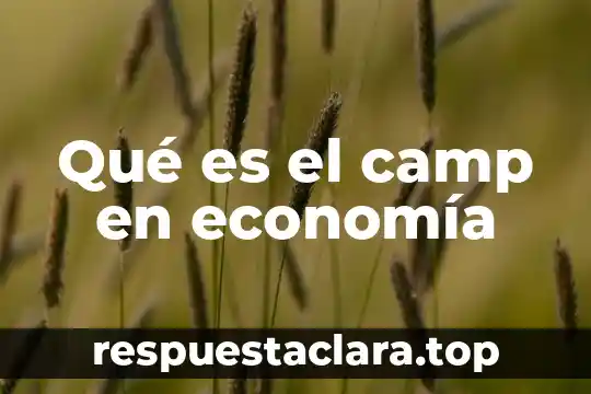 Met Gala que es Camp 5 Qué es el camp en economía
