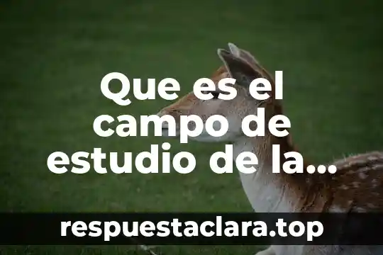 Que es el campo de estudio de la filosofía