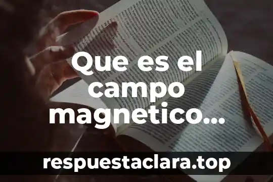 Qué es número cuántico magnético ejemplos 7 Que es el campo magnetico producido por una espira