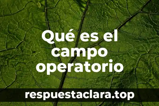 Qué es el campo operatorio
