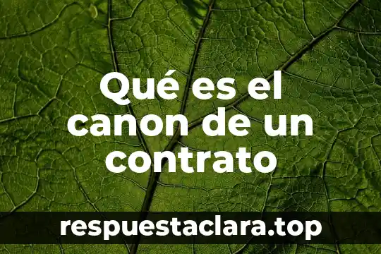 Qué es el canon de un contrato