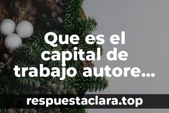 Que es el capital de trabajo autore mexicanos
