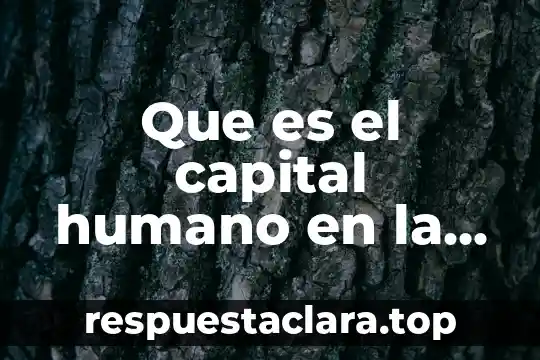 Que es el capital humano en la organizacion privada