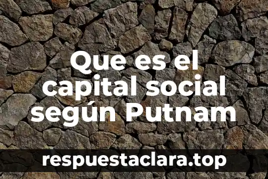 Que es el capital social según Putnam