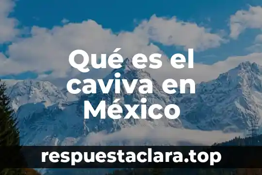 Qué es el caviva en México
