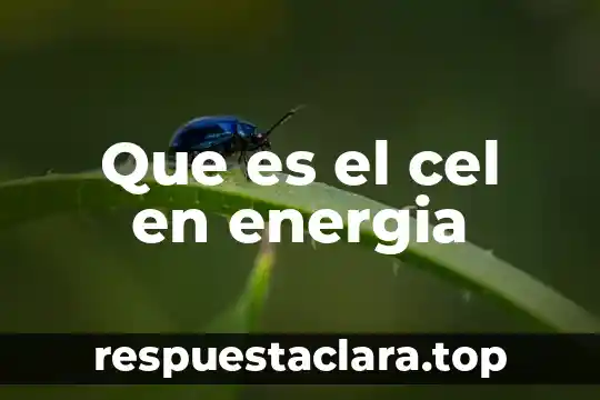 Que es el cel en energia