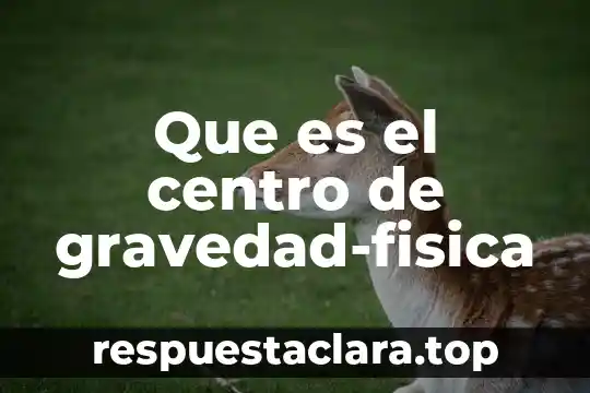 Que es el centro de gravedad-fisica