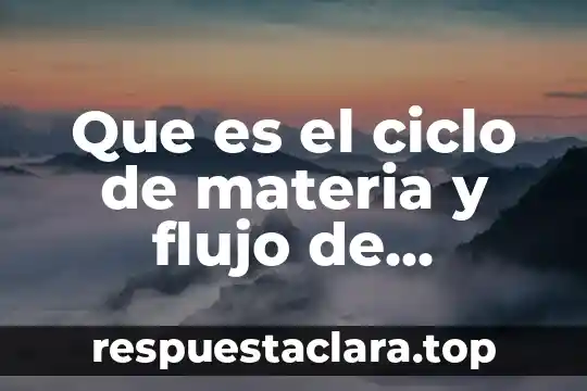 Que es el ciclo de materia y flujo de energia