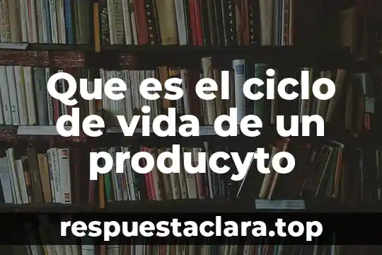 Que es el ciclo de vida de un producyto