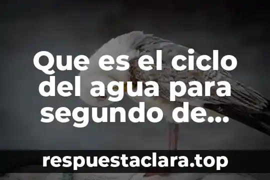 Que es el ciclo del agua para segundo de primaria