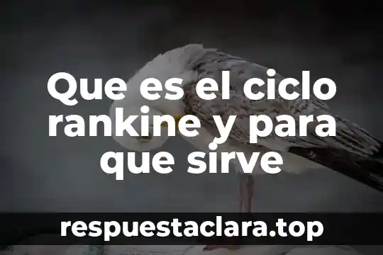 Para qué sirve y qué es la Guardia Nacional significado 4 Que es el ciclo rankine y para que sirve