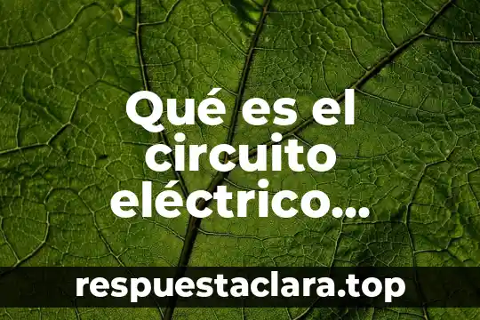 Qué es el circuito eléctrico biológico bioquímica