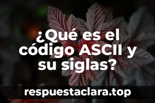 ¿Qué es el código ASCII y su siglas?