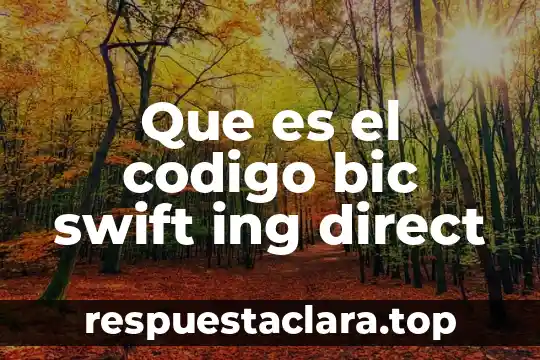 Que es el codigo bic swift ing direct