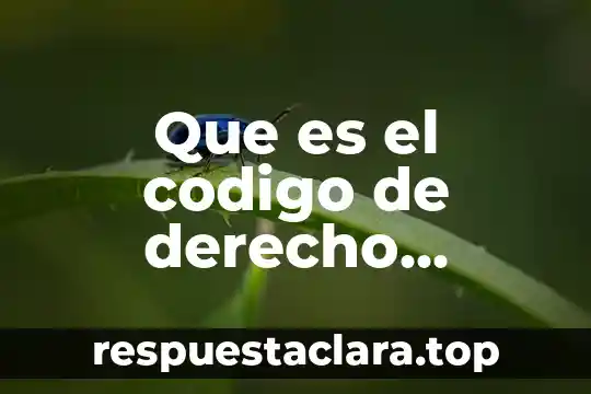 Qué es satiro significado 7 Que es el codigo de derecho canonico