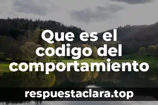 Que es el codigo del comportamiento