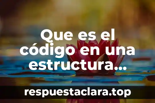 Que es el código en una estructura organizacional