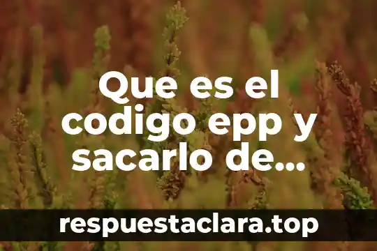 Que es un concubinato codigo civil 5 Que es el codigo epp y sacarlo de godaddy