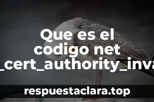 Que es produccion de obras de arte 3 Que es el codigo net err_cert_authority_invalid