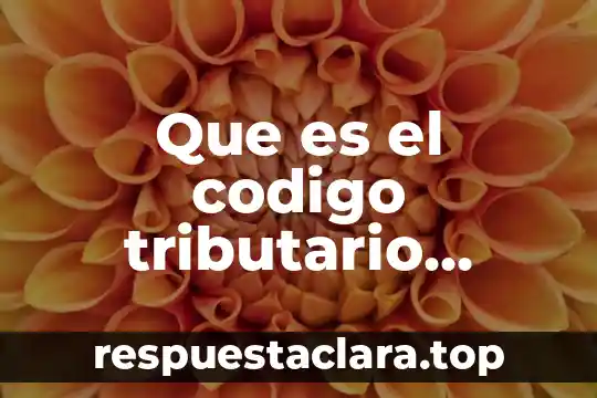 Que es el codigo tributario interno
