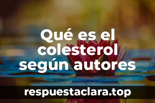 Qué es el colesterol según autores