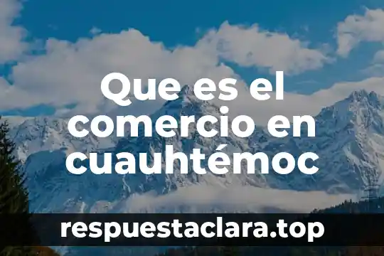 Que es una sociedad comanditaria por acciones simplificadas 3 Que es el comercio en cuauhtémoc