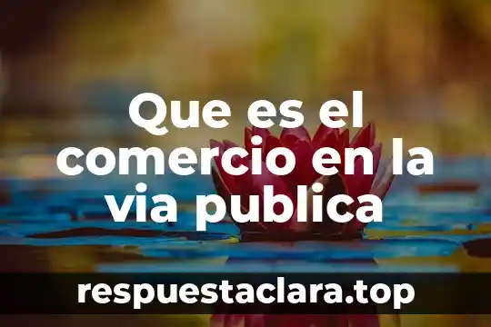 Que es el comercio en la via publica