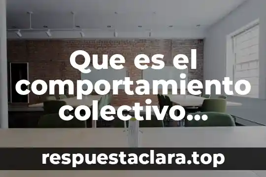 Qué es un equipo definición 5 Que es el comportamiento colectivo definicion