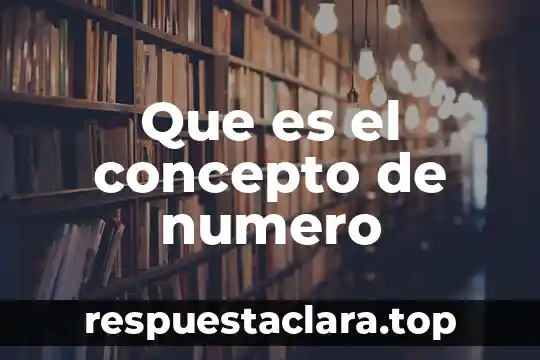Que es el concepto de numero