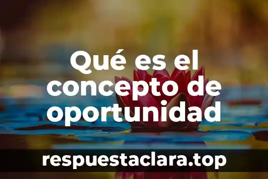 Qué es el concepto de oportunidad
