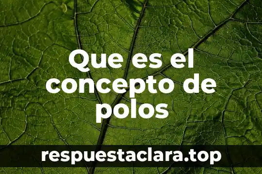 Que es el concepto de polos