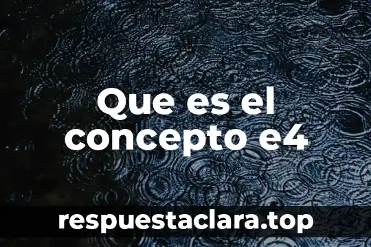 Que es el concepto e4