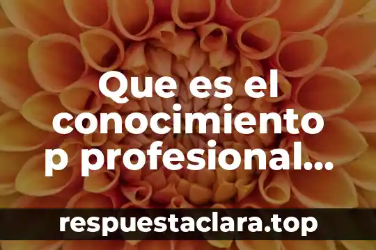 Que es la fenomenología del conocimiento 3 Que es el conocimiento p profesional docente