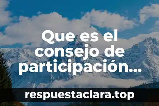 Que es el consejo de participación social trackid sp-006