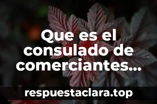 Que es el consulado de comerciantes en la nueva españa