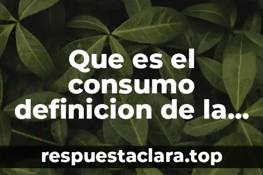 Que es el consumo definicion de la real academia española
